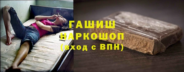 МДПВ Бородино
