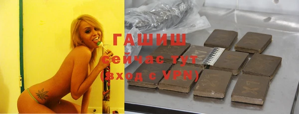 МДПВ Бородино