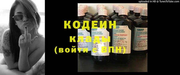 МДПВ Бородино