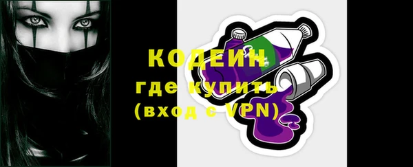МДПВ Бородино