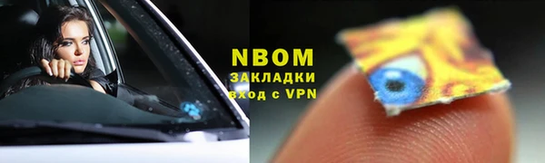 МДПВ Бородино