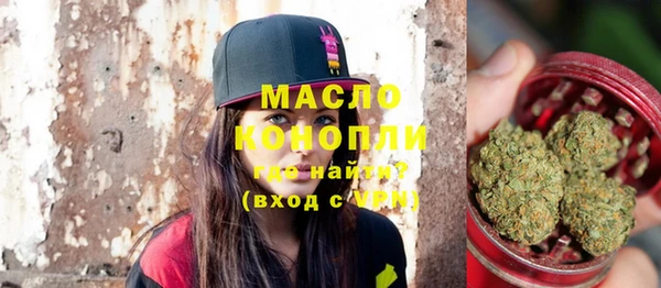 МДПВ Бородино