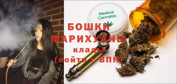 МДПВ Бородино