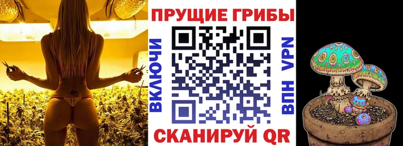 купить закладку  Барнаул  Псилоцибиновые грибы мицелий 